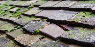 Abergavenny roof repair costs